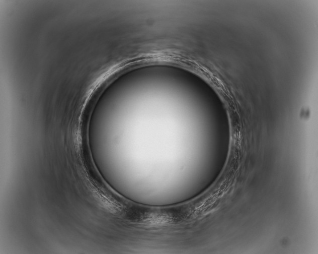X0000100960248200807011339
