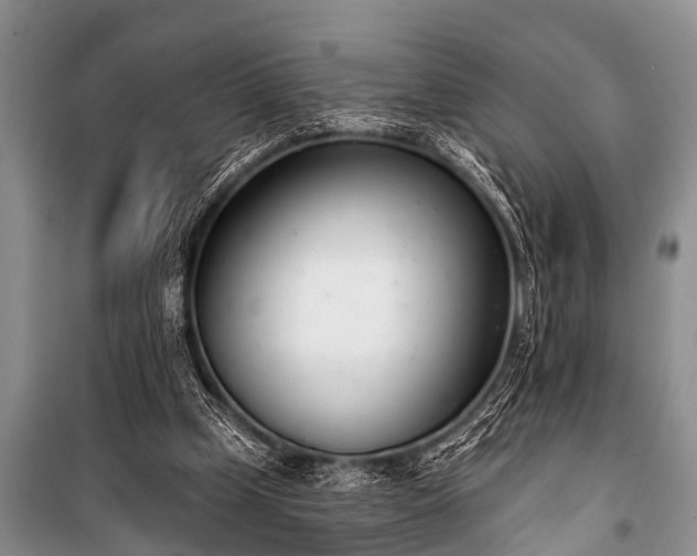 X0000100960249200807011339