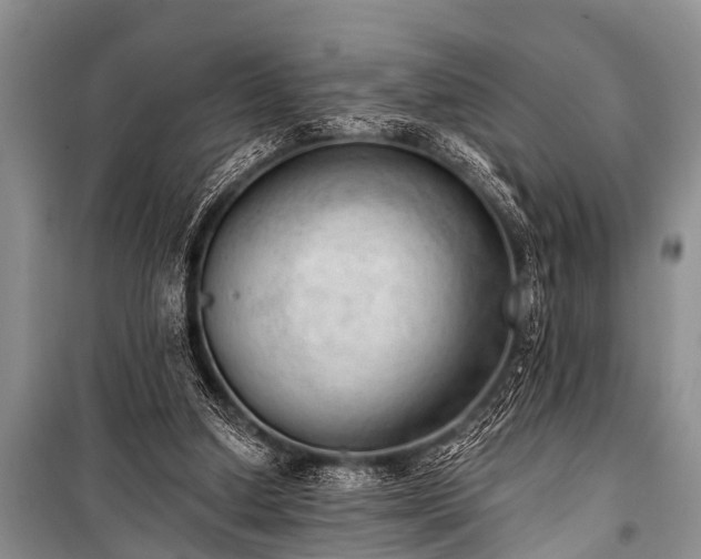 X0000100960250200807011339