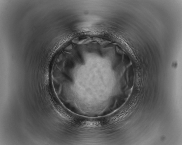X0000100960251200807011339