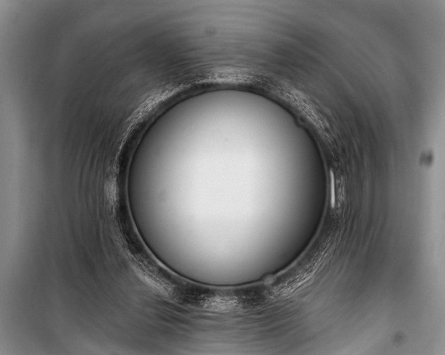X0000100960252200807011339