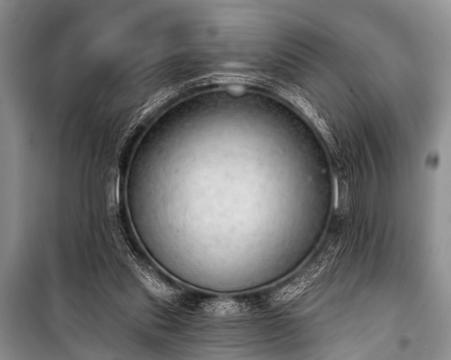 X0000100960253200807011339