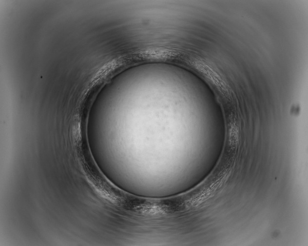 X0000100960254200807011339