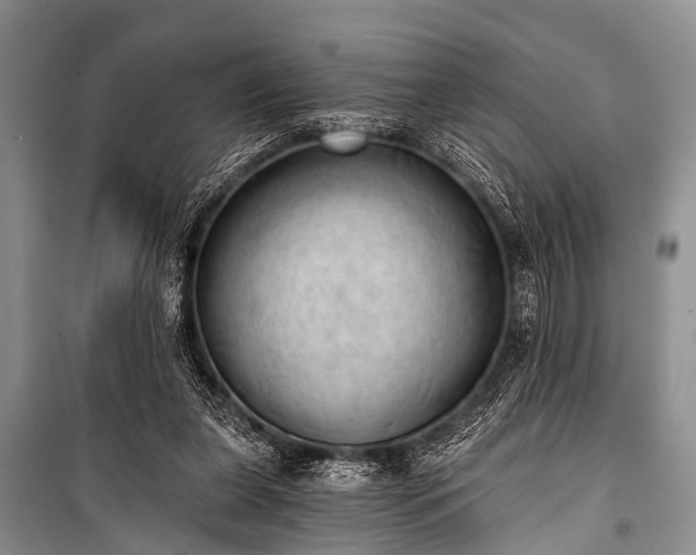 X0000100960255200807011339