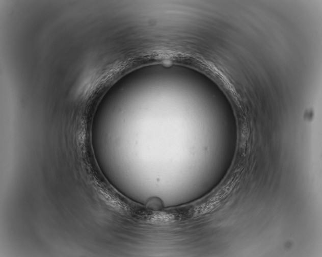 X0000100960257200807011339