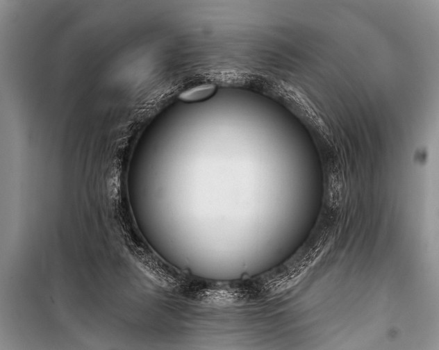 X0000100960259200807011339