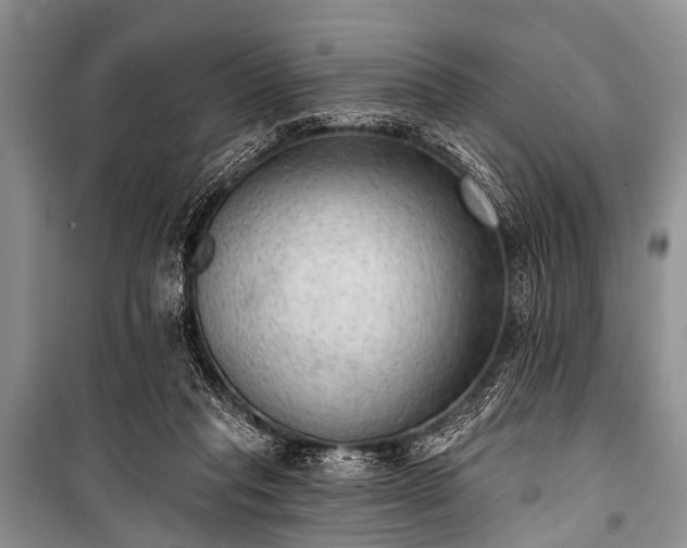 X0000100960261200807011339