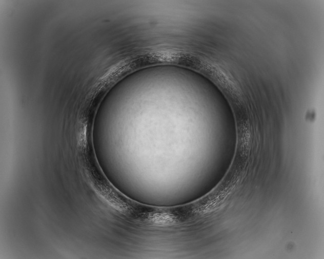 X0000100960262200807011339