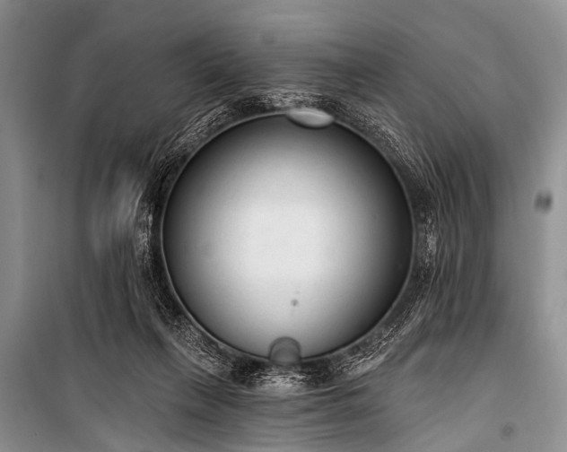X0000100960263200807011339