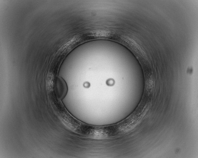 X0000100960264200807011339