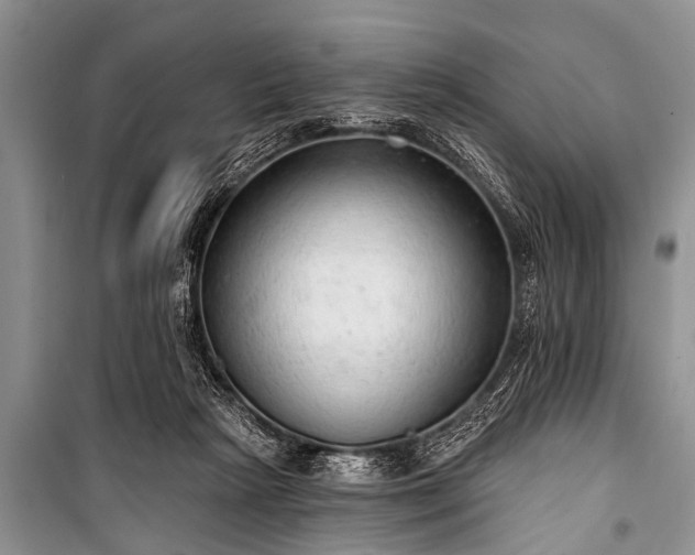 X0000100960265200807011339