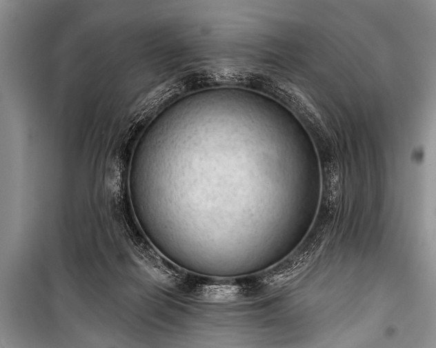 X0000100960266200807011339