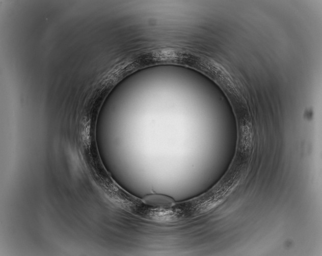 X0000100960267200807011339