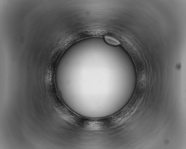 X0000100960268200807011339
