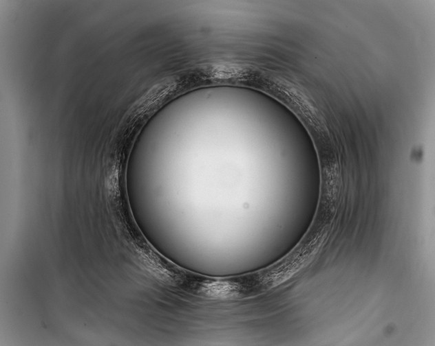 X0000100960269200807011339