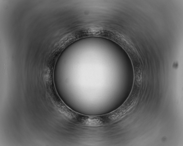 X0000100960270200807011339