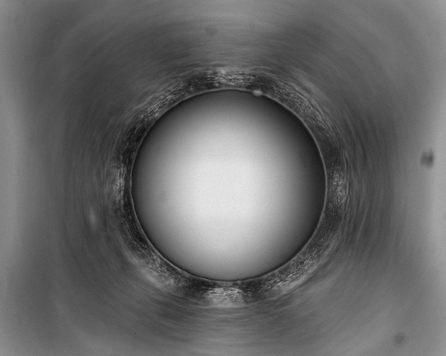 X0000100960271200807011339