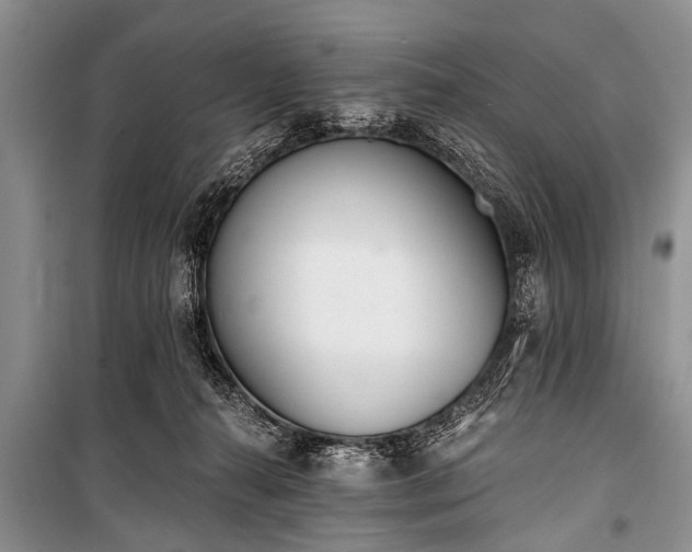 X0000100960272200807011339