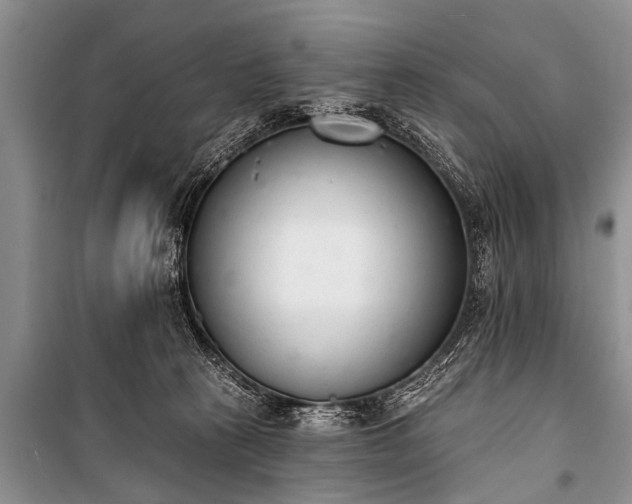 X0000100960273200807011339