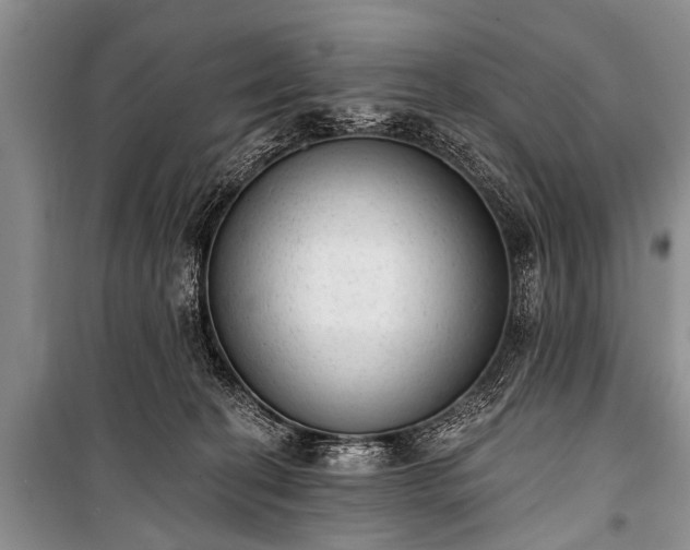 X0000100960274200807011339