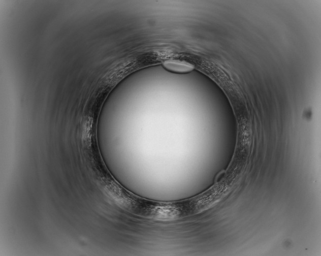 X0000100960275200807011339