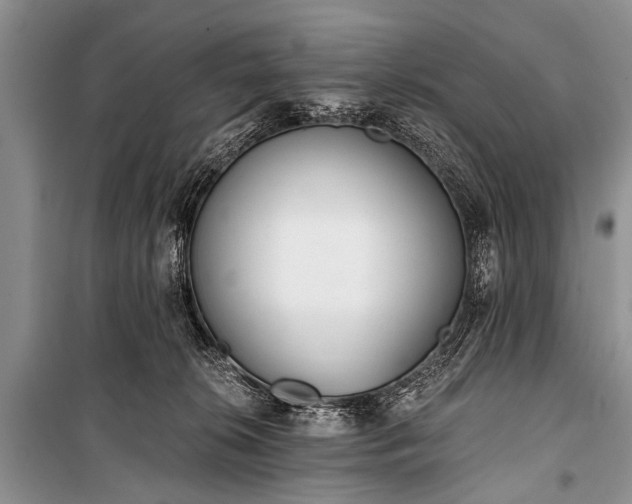X0000100960276200807011340