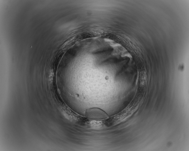 X0000100960279200807011340