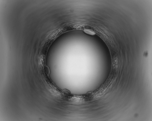X0000100960280200807011340
