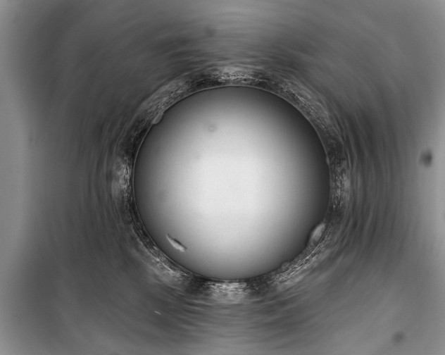 X0000100960281200807011340
