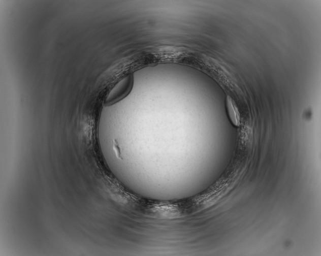 X0000100960283200807011340