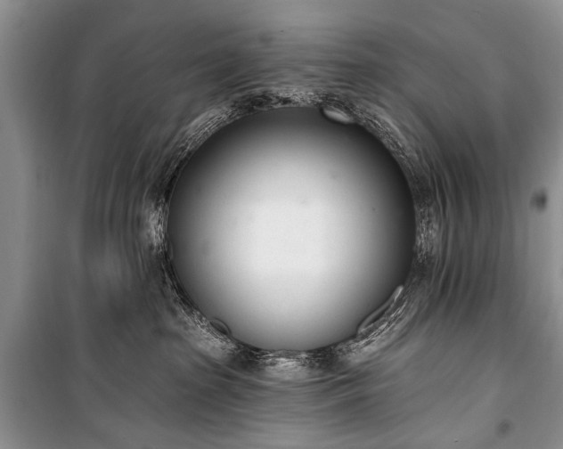 X0000100960285200807011340