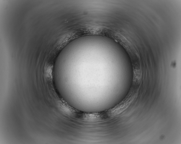 X0000100960286200807011340