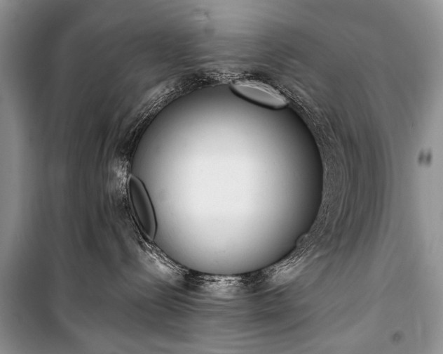 X0000100960288200807011340