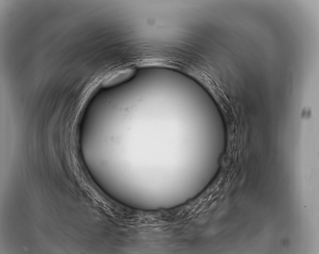 X0000100960289200807011339