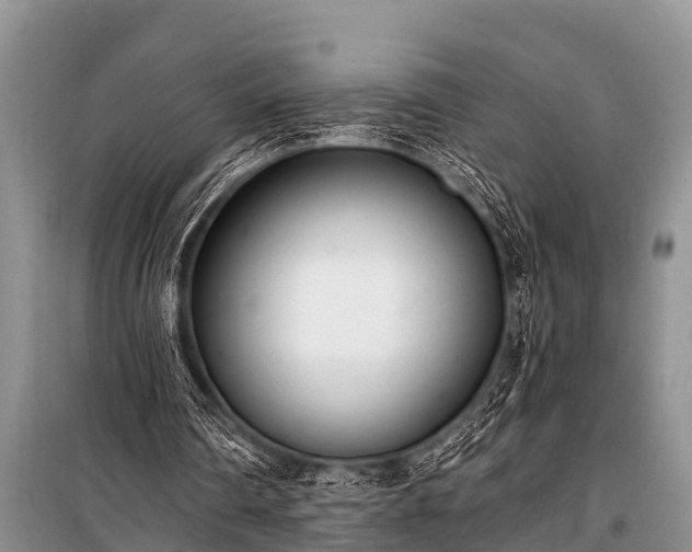 X0000100960290200807011339