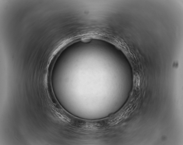 X0000100960292200807011339