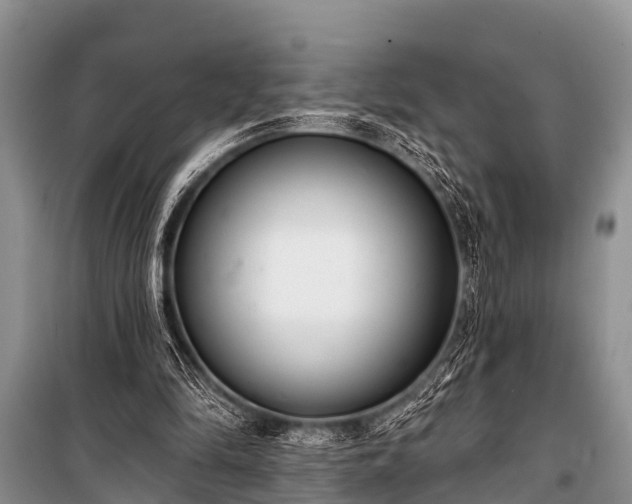 X0000100960294200807011339