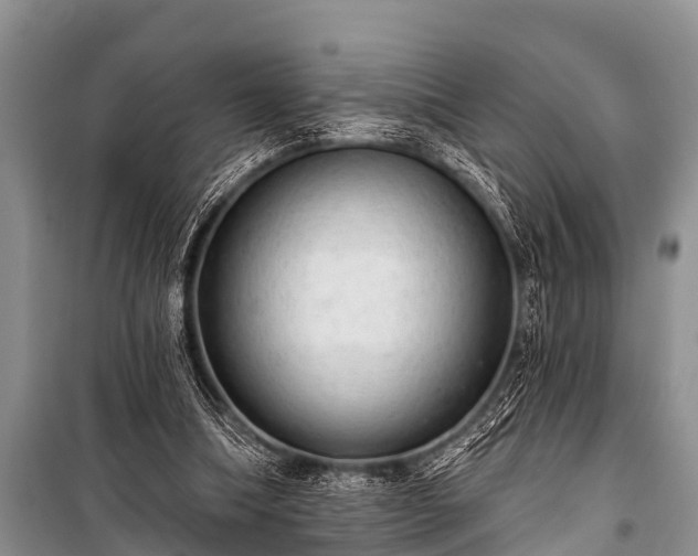 X0000100960298200807011339