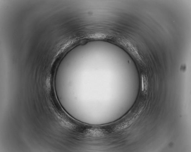 X0000100960300200807011339