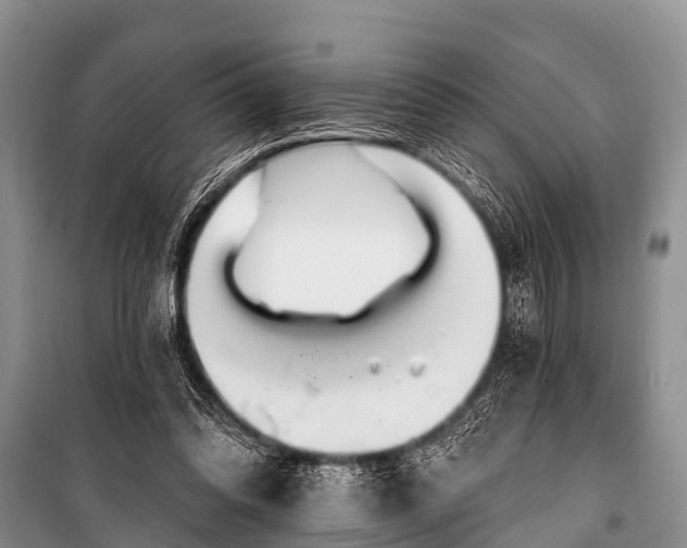 X0000100960302200807011339