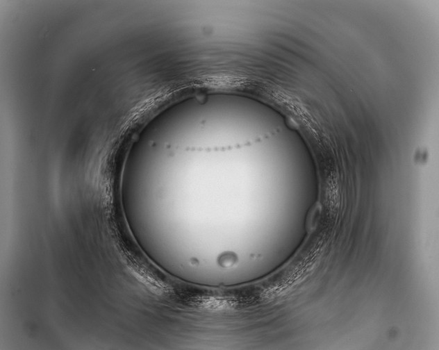 X0000100960303200807011339