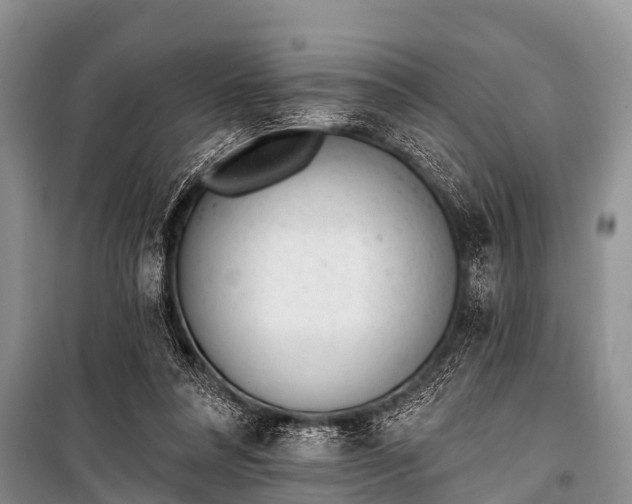 X0000100960304200807011339