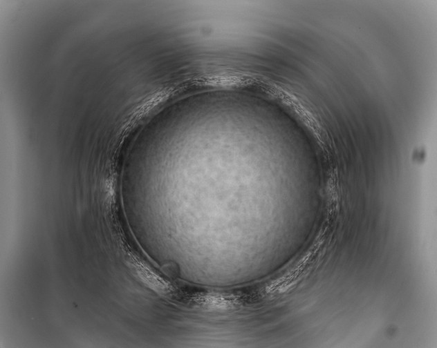 X0000100960305200807011339