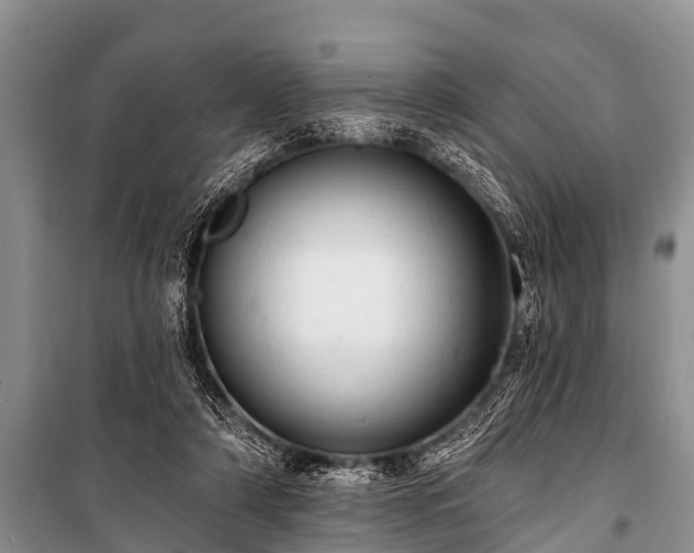 X0000100960306200807011339