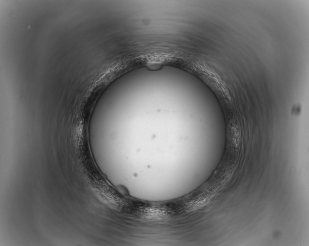 X0000100960308200807011339