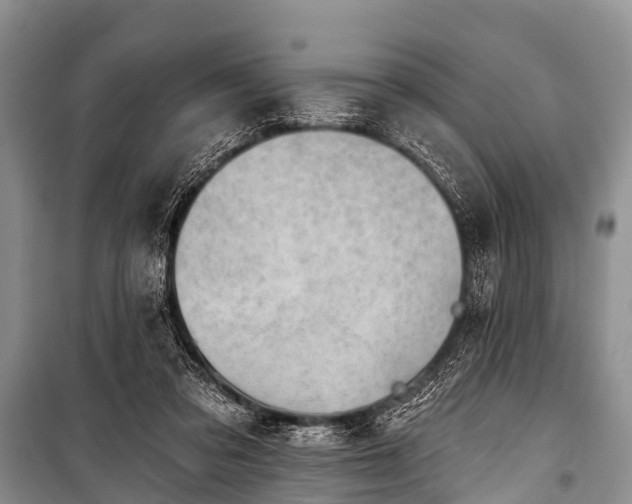 X0000100960309200807011339