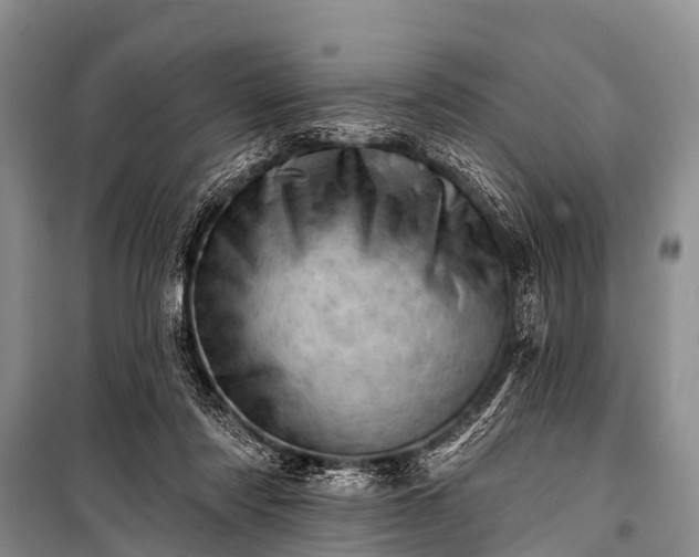 X0000100960310200807011339