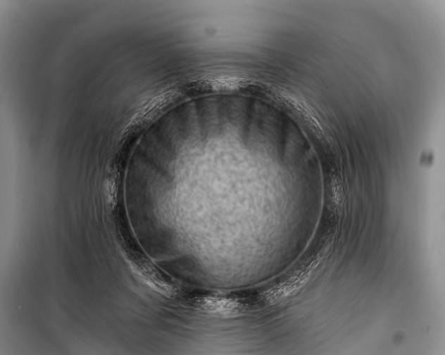 X0000100960311200807011339