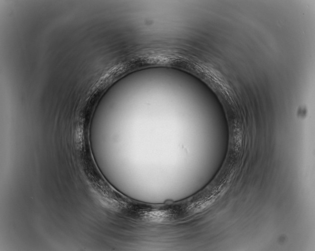 X0000100960312200807011339