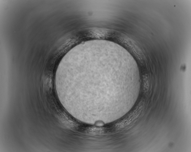 X0000100960313200807011339